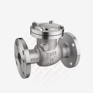 Swing Type Flanged Check Valve